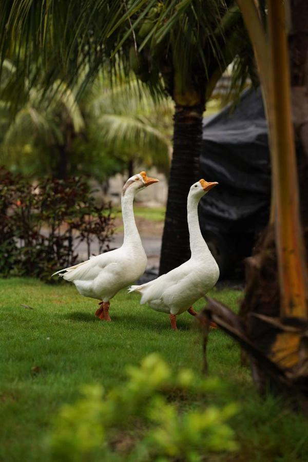 The Kerala Village, Shahapur Shenwa Exterior photo